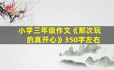 小学三年级作文《那次玩的真开心》350字左右