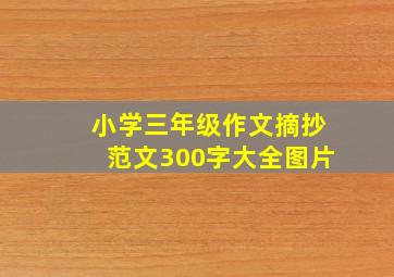 小学三年级作文摘抄范文300字大全图片