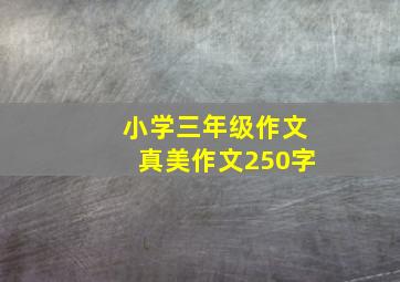 小学三年级作文真美作文250字