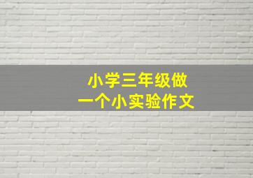 小学三年级做一个小实验作文