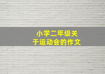 小学二年级关于运动会的作文