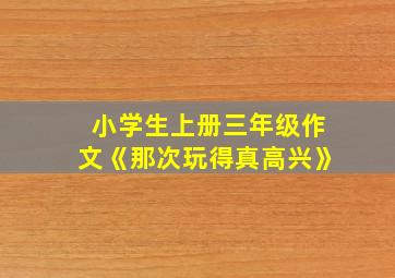 小学生上册三年级作文《那次玩得真高兴》