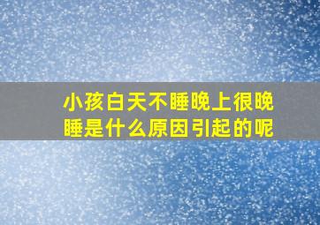 小孩白天不睡晚上很晚睡是什么原因引起的呢