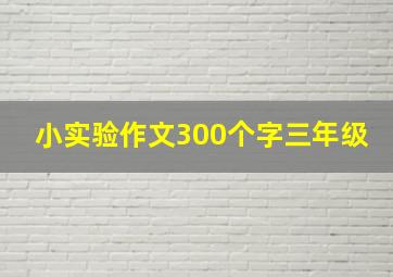 小实验作文300个字三年级