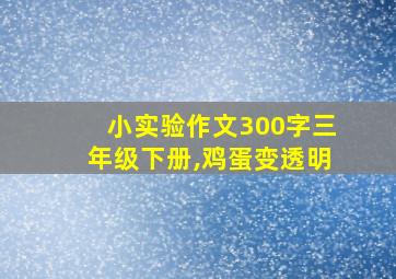 小实验作文300字三年级下册,鸡蛋变透明