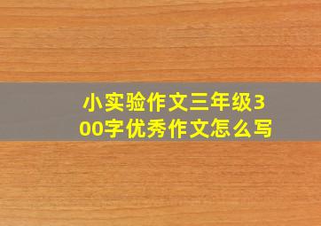 小实验作文三年级300字优秀作文怎么写