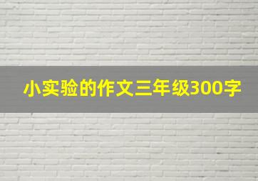 小实验的作文三年级300字