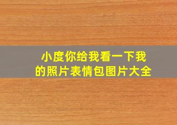 小度你给我看一下我的照片表情包图片大全