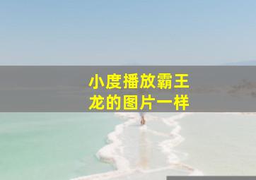 小度播放霸王龙的图片一样