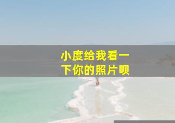 小度给我看一下你的照片呗