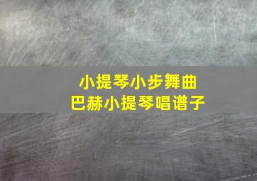 小提琴小步舞曲巴赫小提琴唱谱子