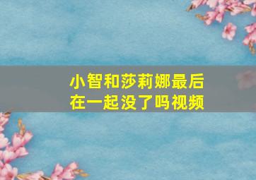 小智和莎莉娜最后在一起没了吗视频