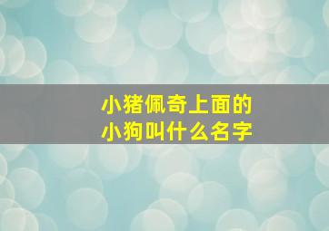 小猪佩奇上面的小狗叫什么名字