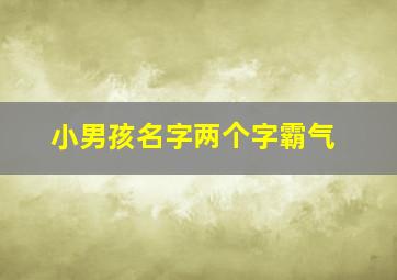 小男孩名字两个字霸气