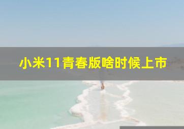 小米11青春版啥时候上市