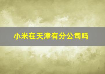 小米在天津有分公司吗