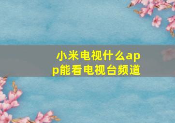 小米电视什么app能看电视台频道