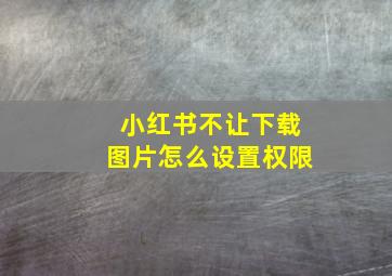 小红书不让下载图片怎么设置权限