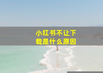 小红书不让下载是什么原因