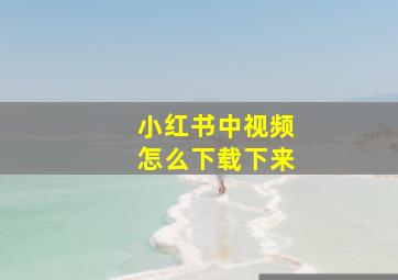 小红书中视频怎么下载下来