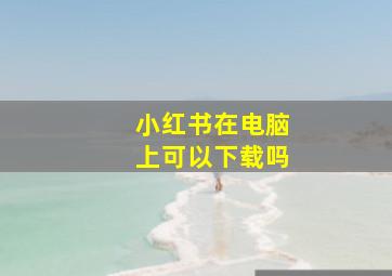 小红书在电脑上可以下载吗