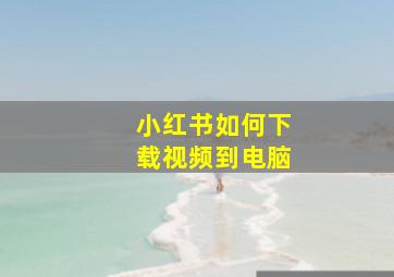 小红书如何下载视频到电脑