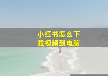 小红书怎么下载视频到电脑