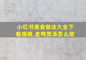 小红书美食做法大全下载视频,老鸭煲汤怎么做