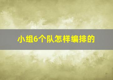 小组6个队怎样编排的