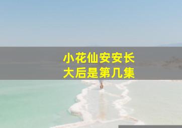 小花仙安安长大后是第几集