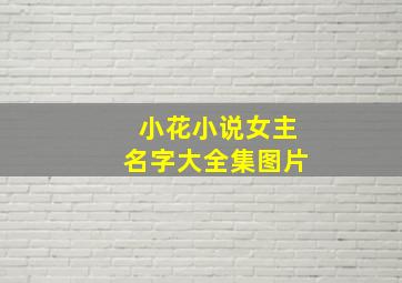 小花小说女主名字大全集图片