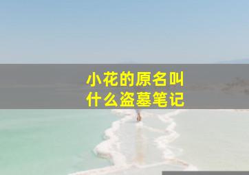 小花的原名叫什么盗墓笔记