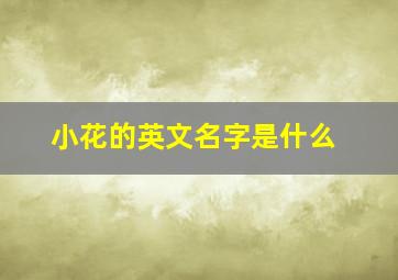 小花的英文名字是什么