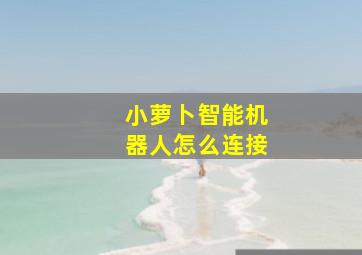 小萝卜智能机器人怎么连接