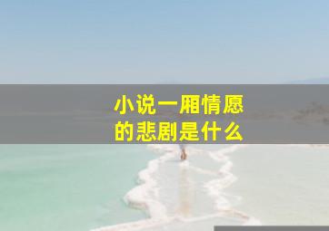 小说一厢情愿的悲剧是什么