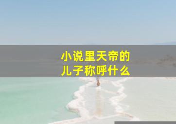 小说里天帝的儿子称呼什么