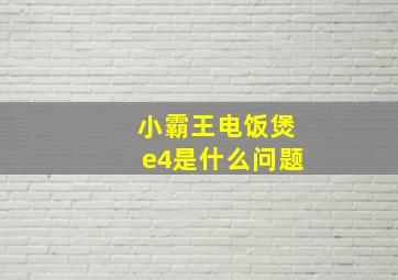 小霸王电饭煲e4是什么问题