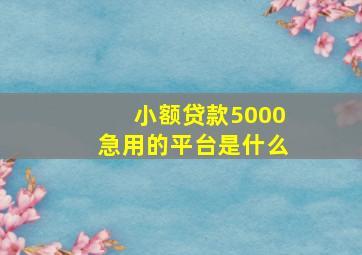 小额贷款5000急用的平台是什么