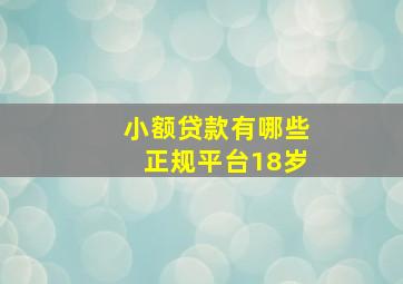 小额贷款有哪些正规平台18岁