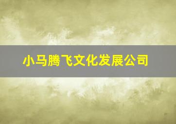 小马腾飞文化发展公司