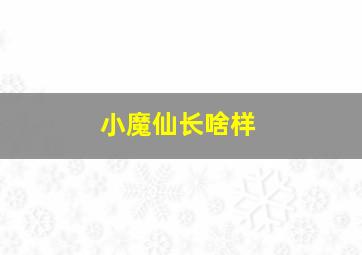 小魔仙长啥样