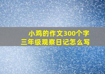 小鸡的作文300个字三年级观察日记怎么写