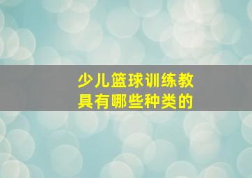 少儿篮球训练教具有哪些种类的