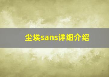 尘埃sans详细介绍