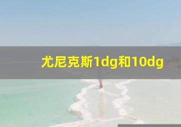 尤尼克斯1dg和10dg