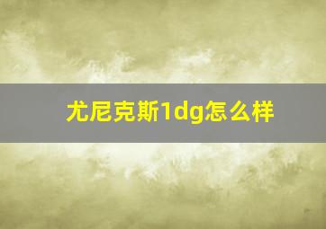 尤尼克斯1dg怎么样