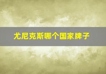 尤尼克斯哪个国家牌子