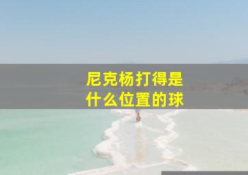 尼克杨打得是什么位置的球