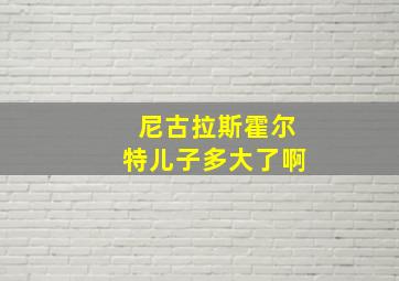 尼古拉斯霍尔特儿子多大了啊