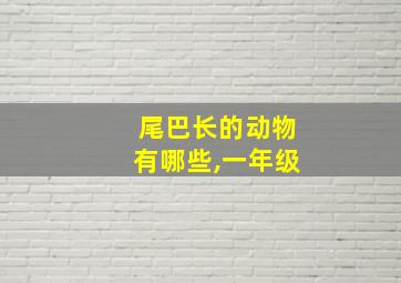 尾巴长的动物有哪些,一年级